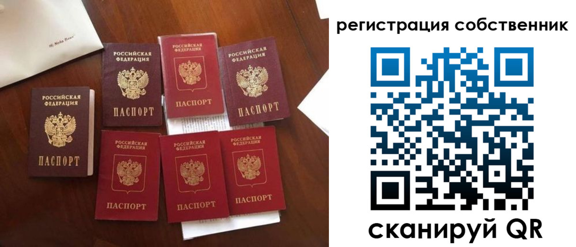найти адрес прописки в Ермолино